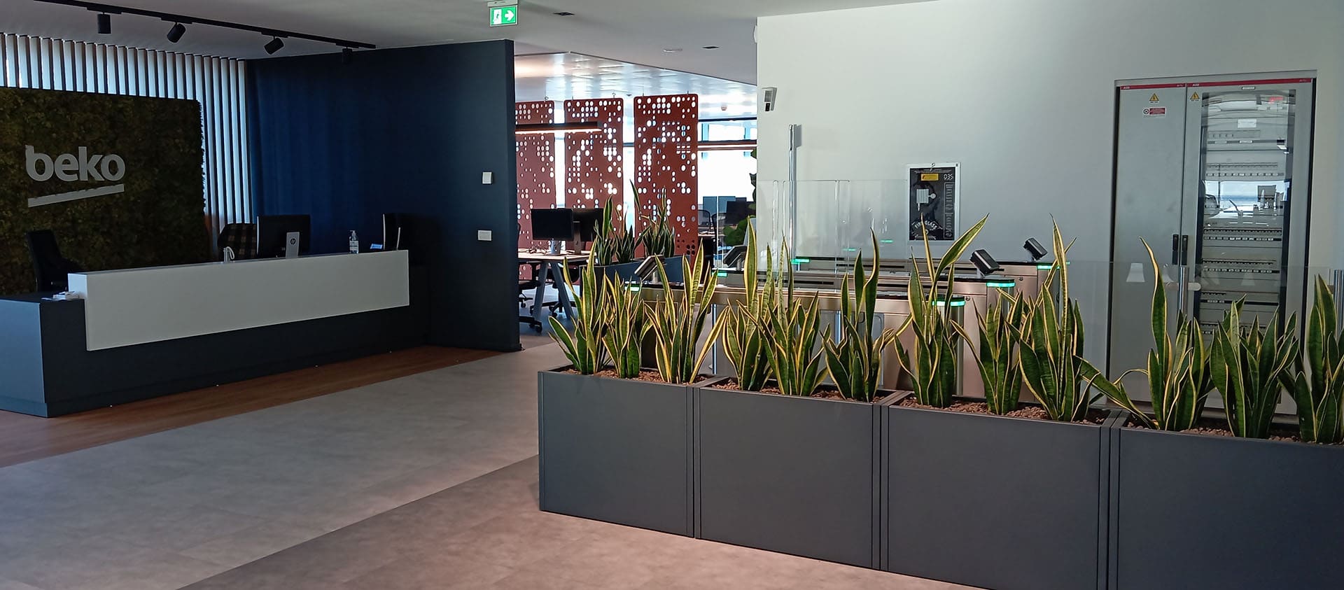 Vasi e piante per uffici e spazi commerciali